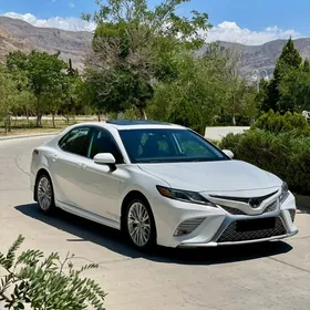 Toyota Camry 2019