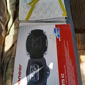 pioneer kalonka
