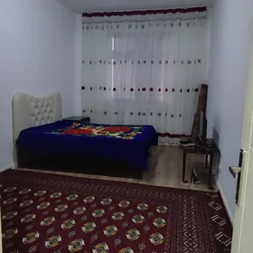 Arenda jay Mir 8