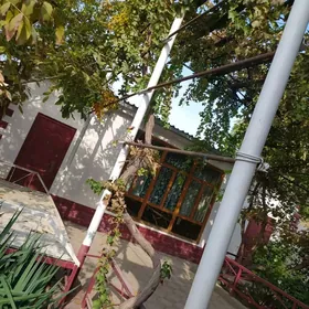 Дом ак алтын