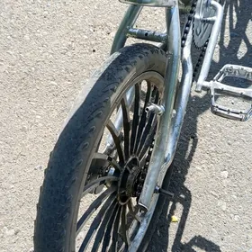tigir