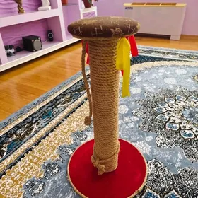 когтеточка