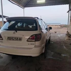Lexus RX 300 2002