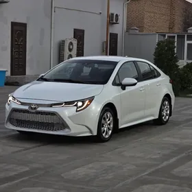 Toyota Corolla 2023