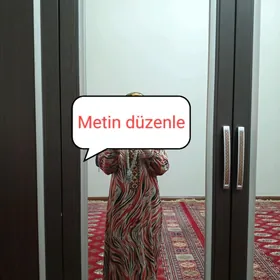 Türk dollar ysdapyl