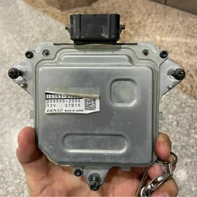 lopus motorcik