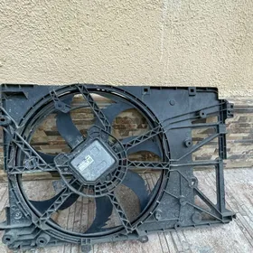 lopus Avalon