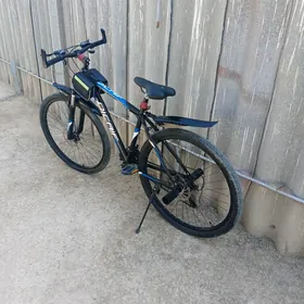 29 lyk sportywny tigir