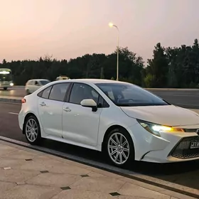 Toyota Corolla 2020