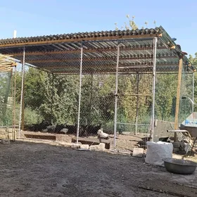 towum ketek
