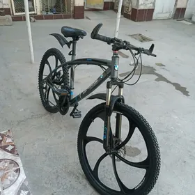BMW Tigir