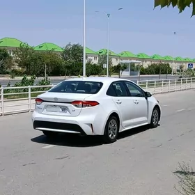 Toyota Corolla 2019