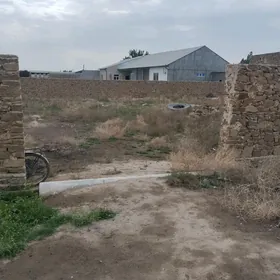 satlyk jaý