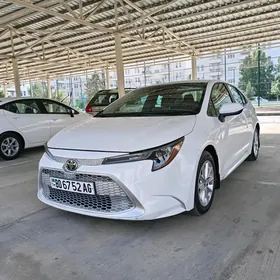 Toyota Corolla 2021