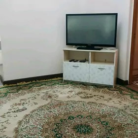 Аренда Цирк arenda сдаю