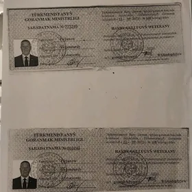 Harby gullugyn weterany