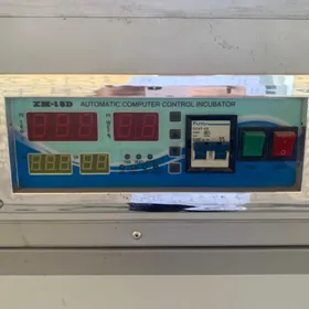 inkubator