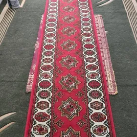 arassa haly