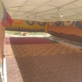 palatga