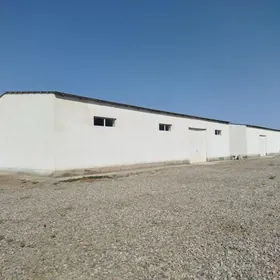 arenda ammarlar