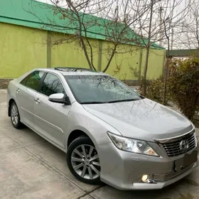 Toyota Camry 2013