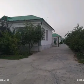 Taze zaman 2nji 3komnat