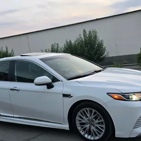 Toyota Camry 2019