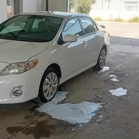 Toyota Corolla 2011