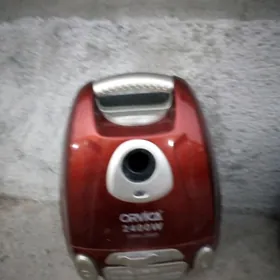 Plesos