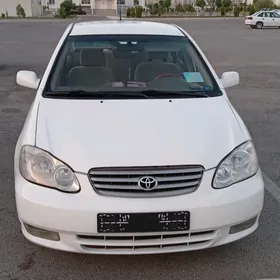 Toyota Corolla 2008