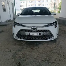 Toyota Corolla 2021