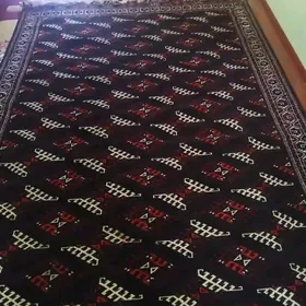 Gara el haly