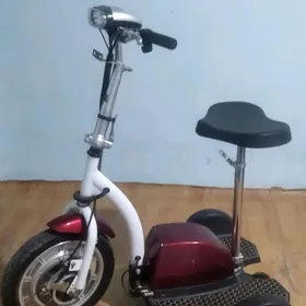 skutur