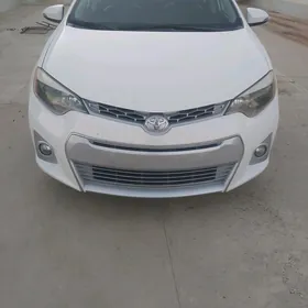 14 Corolla faran lupasy