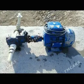 насоос токлы