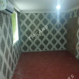 209 Arenda jay
