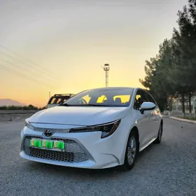 Toyota Corolla 2020