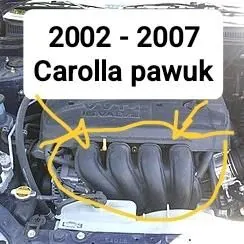 Carolla Pavuk 2002_2005