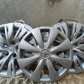 Palta Camry Kalpak