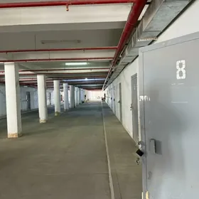 Ammar  mir7 bazar