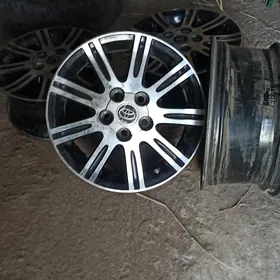Diska grant R16