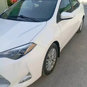Toyota Corolla 2019