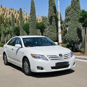 Toyota Camry 2010