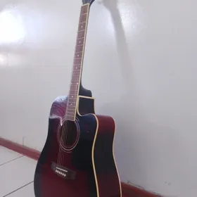 Akustik gitara