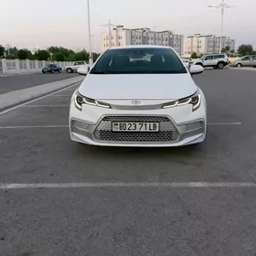Toyota Corolla 2020