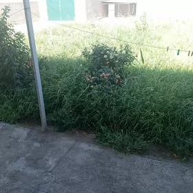 Ýorunja