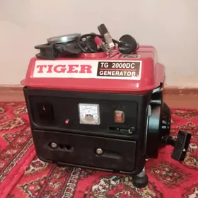 Dwižok Tiger