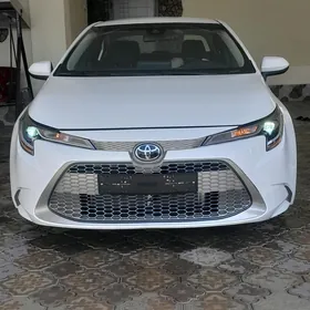 Toyota Corolla 2021