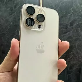 16pro