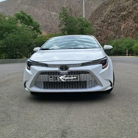 Toyota Corolla 2021